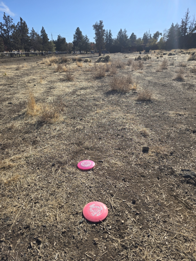 disc golf