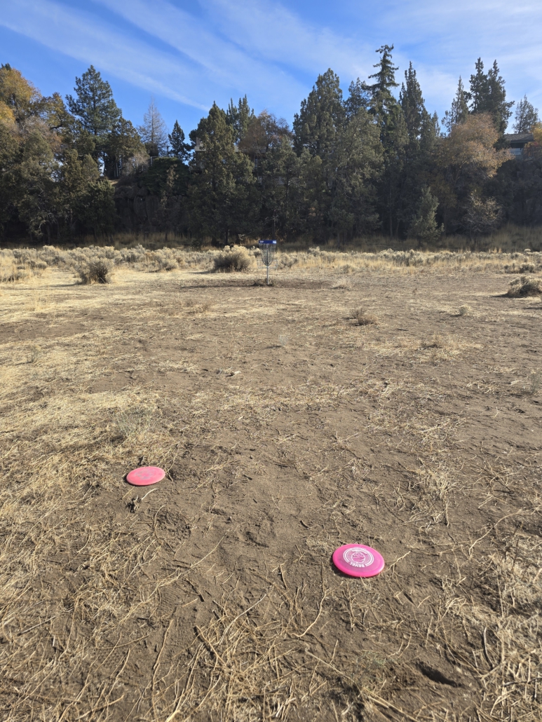 disc golf